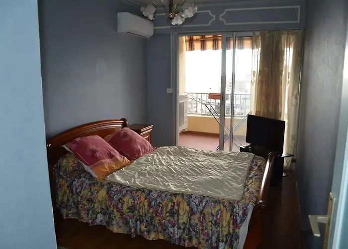 Confortable A Avec Balcon 公寓 阿雅克肖